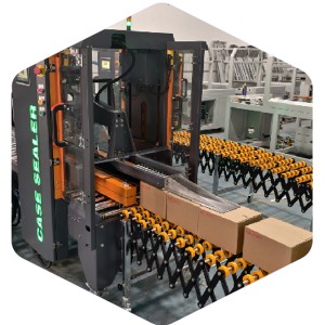 Integrated Robotic Cartoning Line