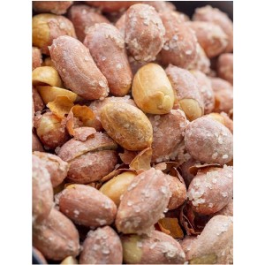 SALTING MACHINES-TZ1000